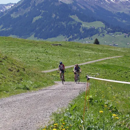Gaestehaus Zur Faerbe Oberstdorf